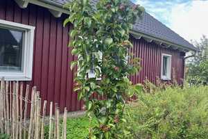 Schönes Einfamilienhaus unweit der Müritz – Inselstr. 12, 17248 Müritz (Kreis) – Vorschaubild 28