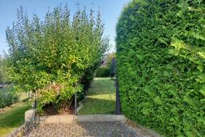 Gebäudekomplex aus drei zusammengehörigen Gebäudeteilen – Treppenweg 4, 35644 Hohenahr – Vorschaubild 104