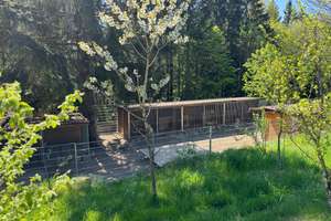 Landleben pur: Landhaus für Tierfreunde mit Reitplatz & Pferdestall – Neureichenau – Die vollständige Adresse der Immobilie erhältst du vom Anbieter., 94089 Neureichenau – Vorschaubild 5
