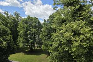 Ruhig mit Parkblick in Feldmoching! 3 Zimmer, renoviert, bezugsfrei, Balkon, ohne Provision – Gustav-Schiefer-Straße 26, 80995 Lerchenau-West, München – Vorschaubild 9