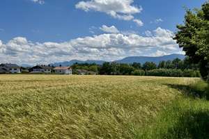 Kleine Wohlfühloase: 2-Zi.-WHG im 1.OG mit Bergblick, Südbalkon & Kamin – Die vollständige Adresse der Immobilie erhältst du vom Anbieter., 83071 Stephanskirchen – Vorschaubild 11