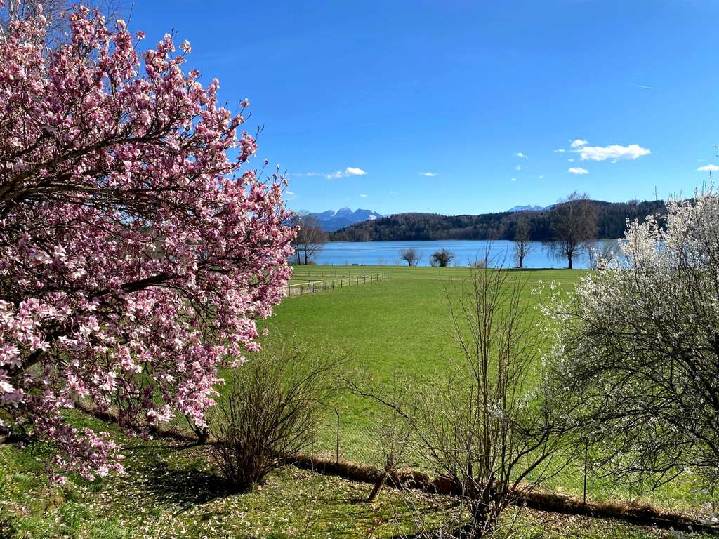 Immobilie in Weyarn - Seltene Gelegenheit – Anwesen in erster Seereihe mit atemberaubendem See- und Alpenblick - Bild 1