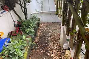 ToFa: gepflegtes DHH mit ELW/EBK/Südbalkon/Garten/Terrasse  und Loggia in ruhiger Lage – Aubachstr. 41, 55126 Mainz – Vorschaubild 5