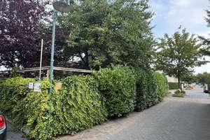 Architektenhaus in nachhaltiger Holzbauweise mit Einliegerwohnung! – Die vollständige Adresse der Immobilie erhältst du vom Anbieter., 53859 Niederkassel – Vorschaubild 34