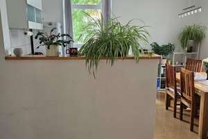 Schöne 2-Zimmer EG Altbauwohnung mit viel Licht – Kurt-Schumacher-Straße 24, 38102 Viewegsgarten-Bebelhof, Braunschweig – Vorschaubild 3