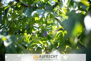 A U F R E C H T °DAHOAM in GÜNDING° mit großem Garten und Doppelgarage - Bergkirchen/Günding – Die vollständige Adresse der Immobilie erhältst du vom Anbieter., 85232 Bergkirchen – Vorschaubild 11
