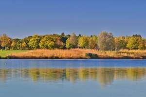 Property thumbnail 17