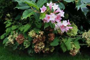 Property thumbnail 109