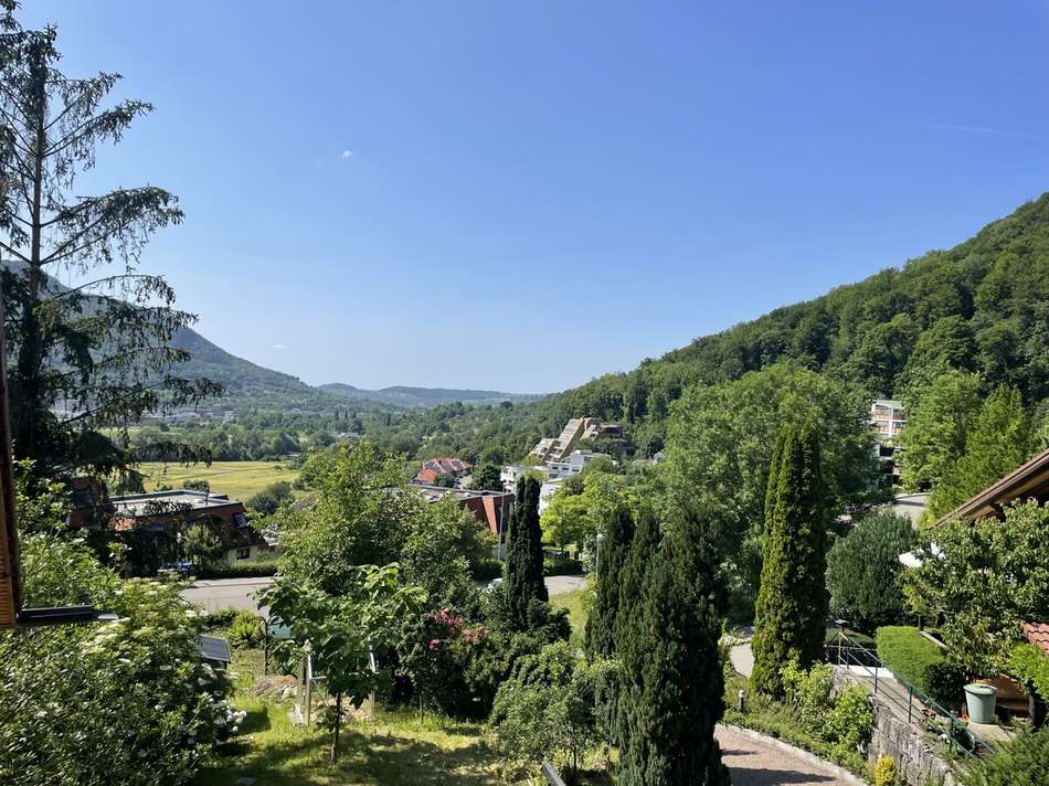 Ausblick