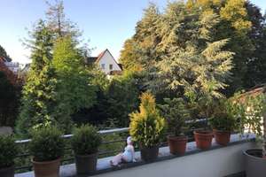 Property thumbnail 3