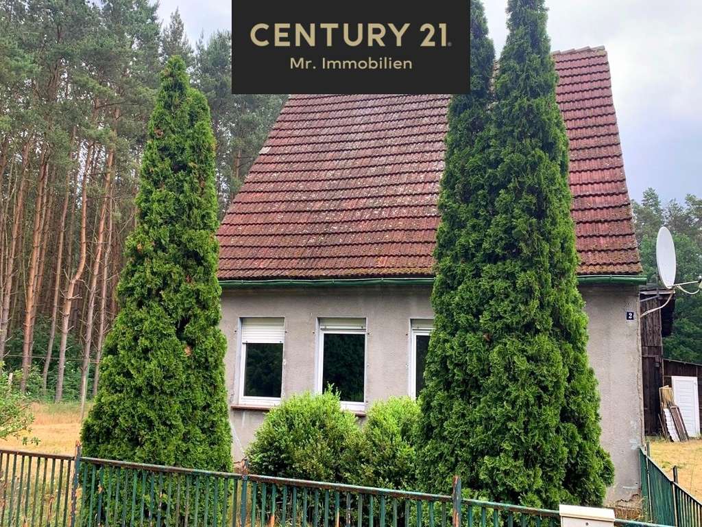 Immobilie in Torgelow - Raus aus der Stadt – rein ins eigene Projekt mit großem Grundstück - Bild 0