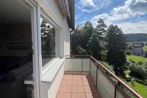 Reserviert - "Freistehendes Einfamilienhaus mit ELW in herausragender Lage mit herrlicher Aussicht" – Rottweil (Kreis) – Vorschaubild 25