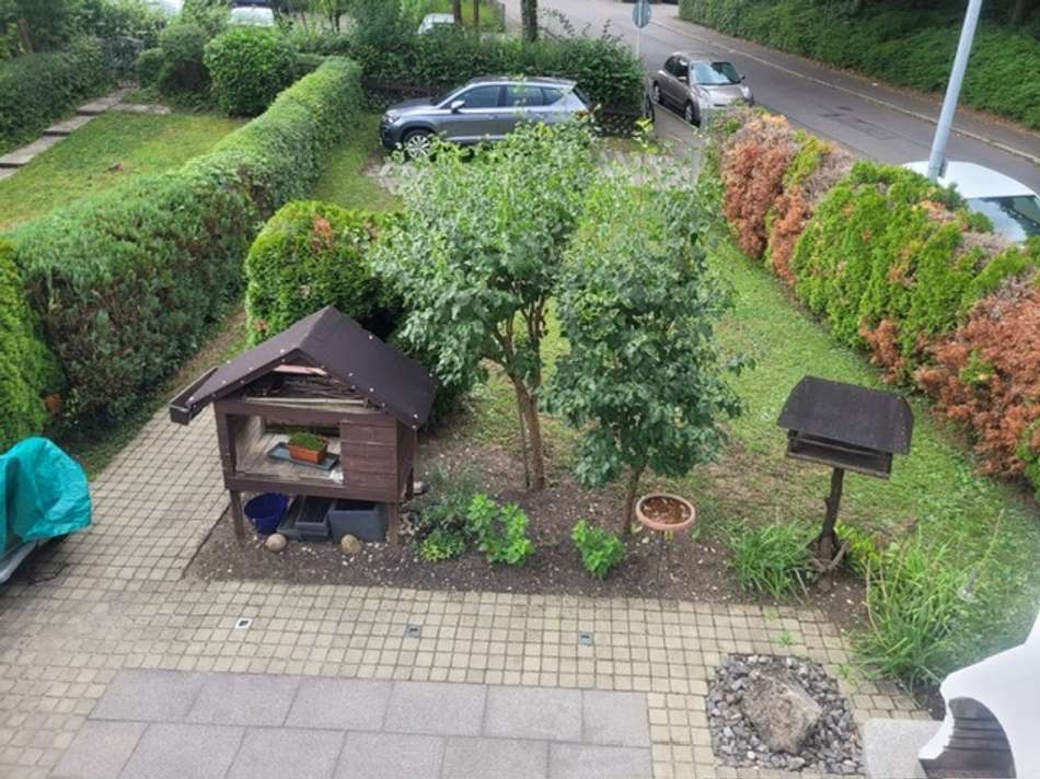 Garten und AAP