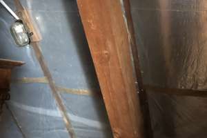 Sehr schönes freistehendes Einfamilienhaus/ Stadtvilla in beliebter Wohnlage mit Garten+ Garage – Immischstraße 1, 99510 Apolda – Vorschaubild 24