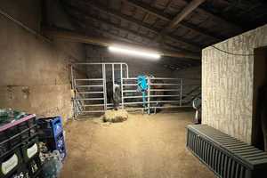 Renoviertes Bauernhaus mit Scheune und großem Grundstück in Lebach - Niedersaubach – Saarlouis (Kreis) – Vorschaubild 18