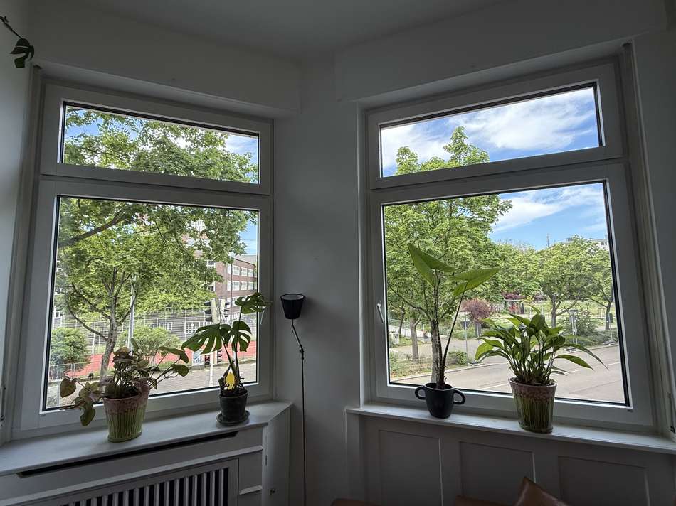 Ausblick
