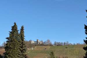 Wartbergblick - großes Reihen-Eckhaus mit großem Grundstück - – Die vollständige Adresse der Immobilie erhältst du vom Anbieter., 74076 Heilbronn, Heilbronn – Vorschaubild 3