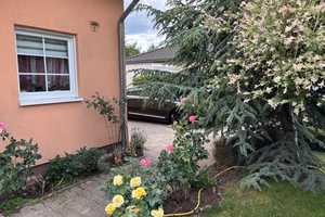 Einfamilienhaus in Seddiner See – Potsdam-Mittelmark (Kreis) – Vorschaubild 4