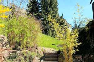 Einzigartiger Blick über die Baumwipfel * Ehemaliges Bürgermeisterhaus in idyllischer Lage – Calw (Kreis) – Vorschaubild 36