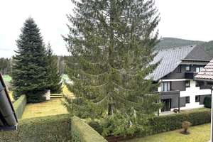 Schöne Ferienwohnung in ruhiger Lage - provisionsfrei – Die vollständige Adresse der Immobilie erhältst du vom Anbieter., 79822 Titisee-Neustadt – Vorschaubild 10