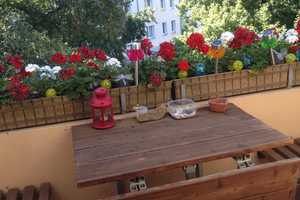 Gemütliche & zentrale, 2-Zimmer-Wohnung mit Balkon in Hannover-Vahrenwald/List – Voltastr. 19, 30165 Hannover – Vorschaubild 1