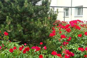 Property thumbnail 16