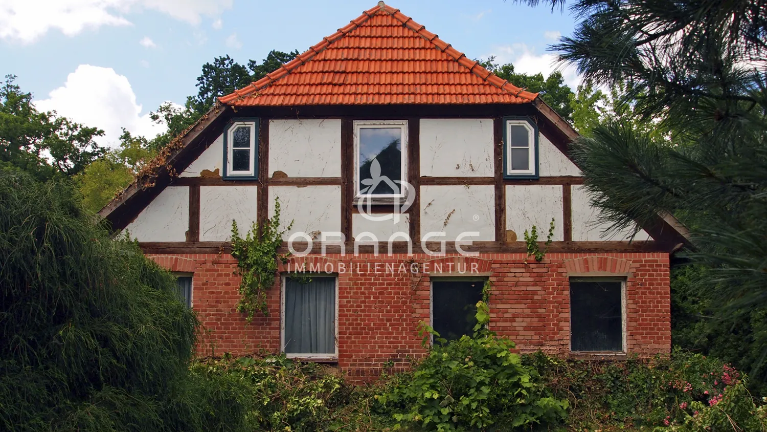 ***charmantes Bauernhaus mit Stall, Scheune und Weide***, Ludwigslust Parchim Kreis – Bild 1