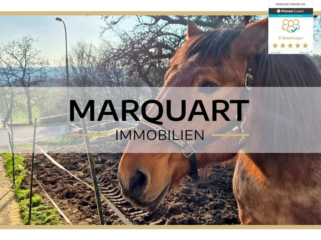 Immobilie in Schlüchtern - Idyllisches, großes Anwesen auch für Ihre Pferde! - Bild 0