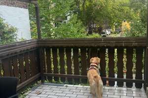 Property thumbnail 17