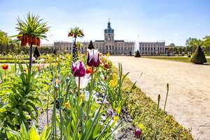 Jetzt einziehen: 2 Zimmer - saniert - Gewerbeeinheit zur Wohnnutzung - provisionsfrei kaufen! – Kaiserin-Augusta-Allee 49, 10589 Charlottenburg, Berlin – Vorschaubild 14