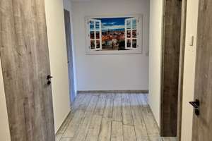 Lebendig wohnen in Erfurt: 3-Zimmer-Wohnung in der Andreasvorstadt