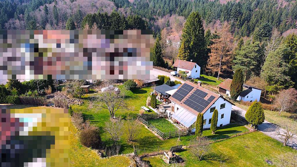 Immobilie in Wüstenrot - Großzügiges Einfamilienhaus mit Einliegerwohnung auf weitläufigem Grundstück in Wüstenrot - Bild 0