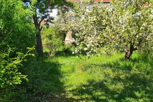 Reihenendhaus in grüner Umgebung und idealer Wohnlage – Halle (Saale) – Vorschaubild 9