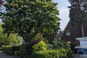 Freistehendes Einfamilienhaus in Warendorf – Die vollständige Adresse der Immobilie erhältst du vom Anbieter., 48231 Warendorf – Vorschaubild 2