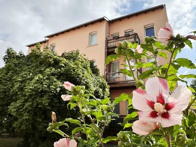 Das Semester in der ersten eigenen Wohnung starten? Hübsche 1-Raum-Wohnung in der südlichen Innensta