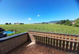 Ausblick