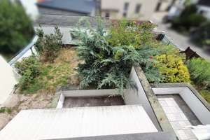 Dreifamilienhaus mit Garage in Offenbach Bieber – 63073 Bieber, Offenbach am Main – Vorschaubild 5