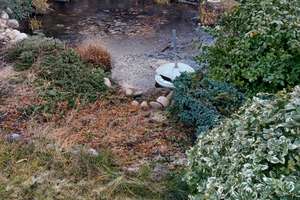 ***TOP LAGE*** Besonderes Einfamilienhaus mit wunderschönem Garten in Gerolfing*** – Die vollständige Adresse der Immobilie erhältst du vom Anbieter., 85049 West, Ingolstadt – Vorschaubild 45