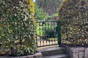 Idyllische & ruhige Lage direkt am Wald – Die vollständige Adresse der Immobilie erhältst du vom Anbieter., 3246 Crinitz – Vorschaubild 3