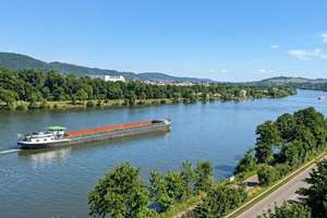 Property thumbnail 17