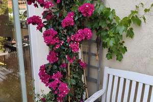 Property thumbnail 41