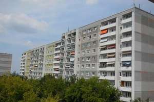 Attraktive Wohnung mit viel Tageslicht - frisch saniert