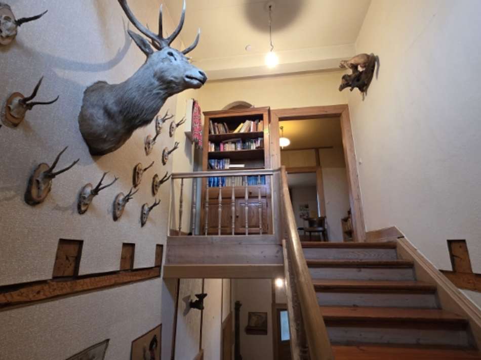 VK-1519 Dachgeschoss (7)