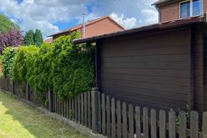 Stilvolles Reihenendhaus, gehobene Ausstattung, 2 Kamine, Traumgarten & ruhige Lage (Erbpacht) – Die vollständige Adresse der Immobilie erhältst du vom Anbieter., 38448 Vorsfelde, Wolfsburg – Vorschaubild 16