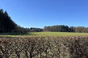 Ideal für Handwerker! Wohnhaus in toller Lage mit 1.692 m² Grundstück – Hasenbeckallee 64, 21789 Wingst – Vorschaubild 14