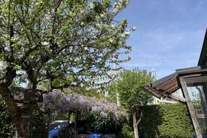 Einfamilienhaus in München Aubing - Termin So 11.05. um 10:00 Uhr - nach ANMELDUNG – Trimburgstraße 3, 81249 München – Vorschaubild 84