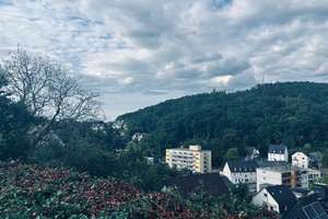 Einfamilienhaus mit 3 Wohneinheiten – Siegen – Die vollständige Adresse der Immobilie erhältst du vom Anbieter., 57074 Siegen, Siegen – Vorschaubild 15