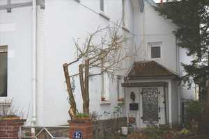  Stadthaus im Staatsbad Salzuflen  – Lippe (Kreis) – Vorschaubild 8