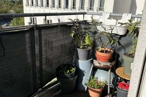 Gepflegte 2-Zimmer-Wohnung mit Balkon  – Die vollständige Adresse der Immobilie erhältst du vom Anbieter., 64347 Griesheim – Vorschaubild 5