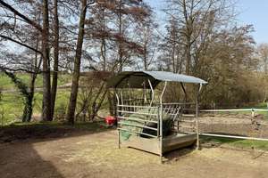 Viel Platz für die Familie! Großes Einfamilienhaus in Rheinbach zu verkaufen – Die vollständige Adresse der Immobilie erhältst du vom Anbieter., 53359 Rheinbach – Vorschaubild 23